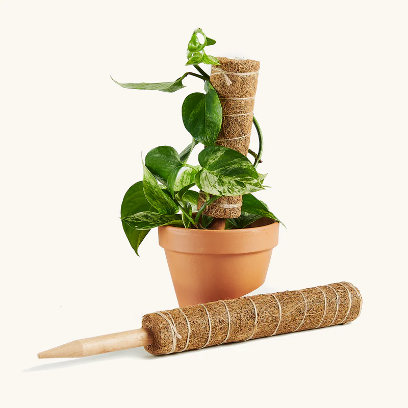 Coir Grow Poles